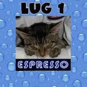 Meet your Posher, Debra